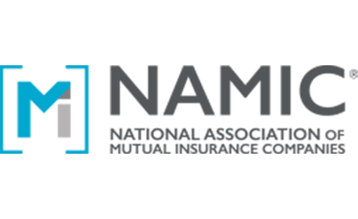 namic-logo